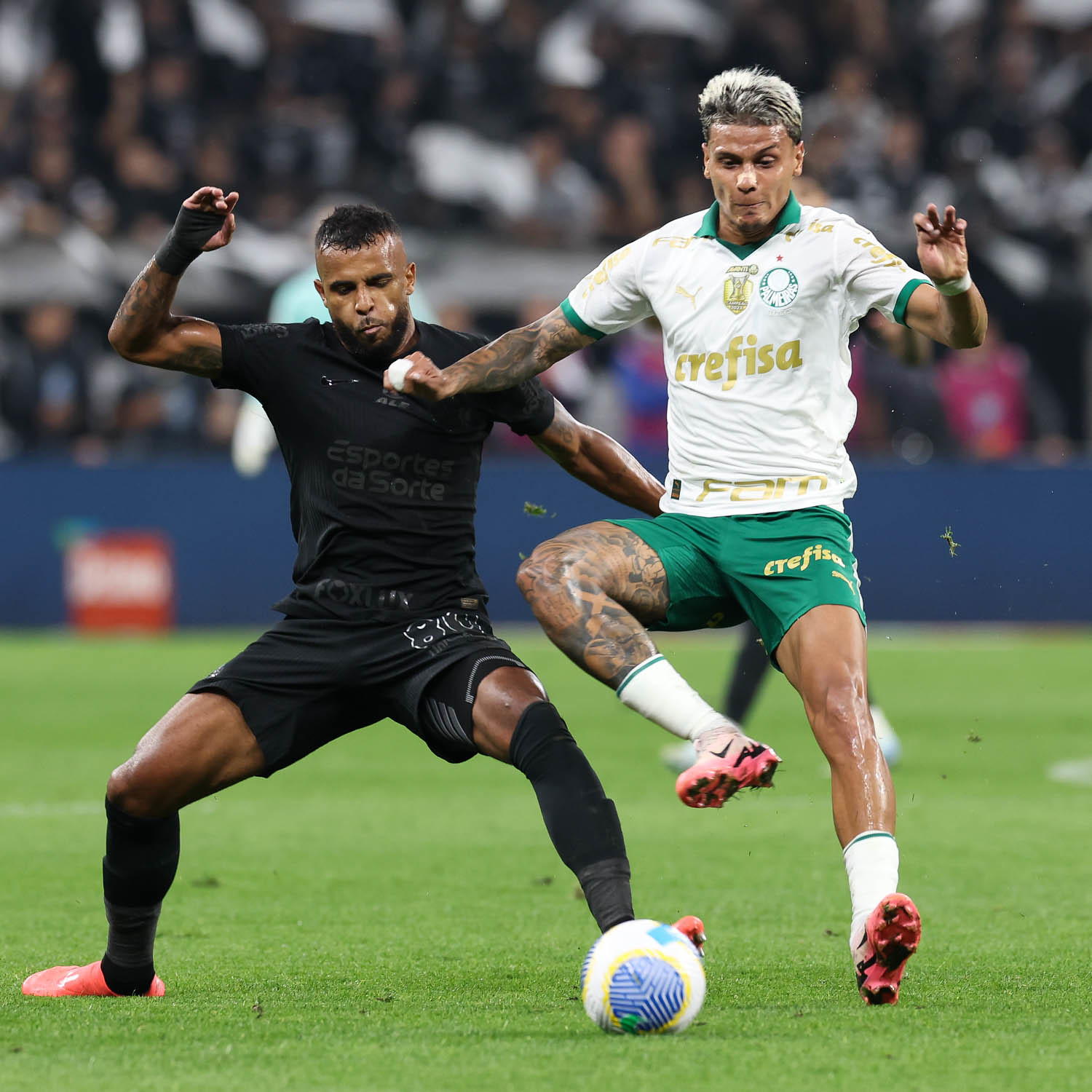 Corinthians x Palmeiras (Foto: Cesar Greco/Palmeiras)