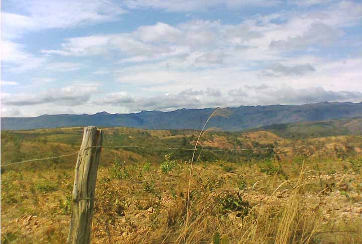 O Cerrado é um dos biomas mais importantes do Brasil. Entretanto, passa por degradação.   Uma pesquisa do MapBiomas mostrou que o Cerrado é o bioma mais impactado pelo desmatamento para o plantio de soja.  Reprodução: Flipar