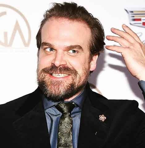 A série conquistou grande popularidade e Harbour recebeu fartos elogios da crítica. Pela sua performance na série ele foi laureado com o Critics’ Choice Television em 2018, além de ter recebido indicações ao Emmy e ao Globo de Ouro.

 Reprodução: Flipar