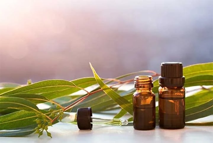 Óleo de eucalipto - Possui um aroma fresco e forte que confunde os sistemas olfativos das abelhas. Ele contém cineol, um composto que afasta diversos insetos. É usado como ingrediente em produtos repelentes devido à sua eficácia. O melhor dos óleos para problemas respiratórios, por ser antisséptico, expectorante e antiespasmódico. Reprodução: Flipar