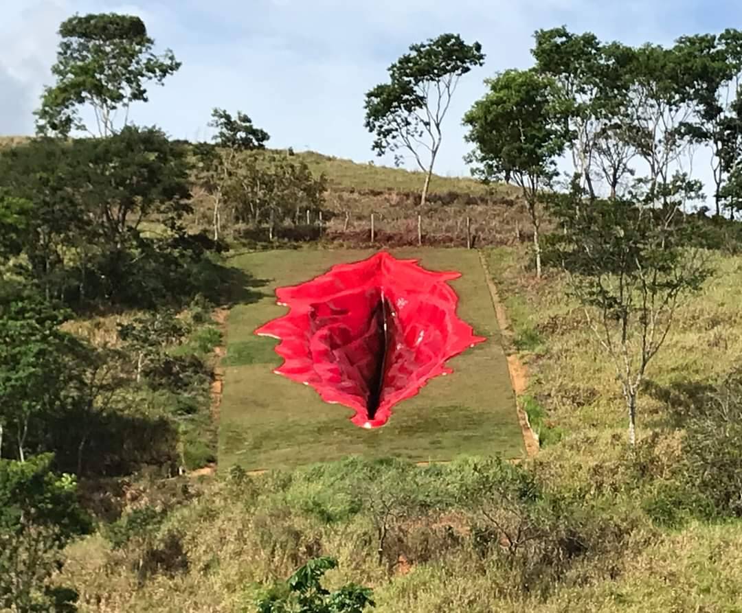 Vagina de 33 metros está na Zona da Mata Sul em Pernambuco. Foto: Reprodução/Twitter