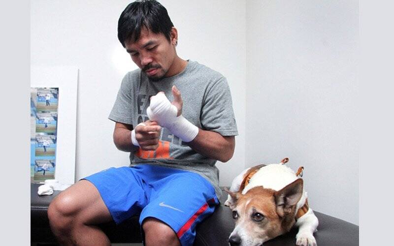 Lutador ao lado do cachorro. Foto: Instagram