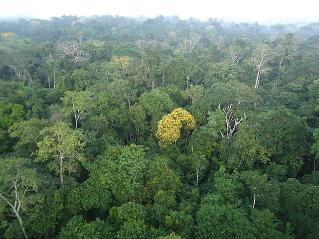 Estudos identificaram três grandes períodos de vulcanismo na Amazônia (há 2 bilhões, 1,88 bilhões e 1,78 bilhões de anos). Reprodução: Flipar