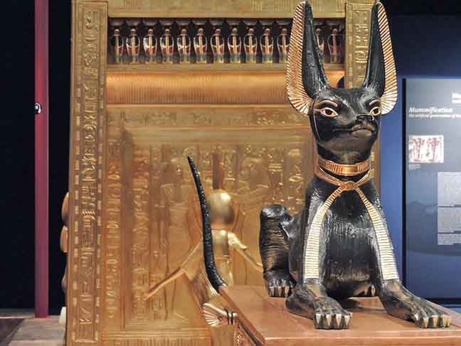 A relevância do gato vem da correspondência com a deusa Bastet, que garantiria a segurança das mulheres e fertilidade. Seu papel de predador de roedores e, consequentemente, de protestor contra doenças também era louvado.  