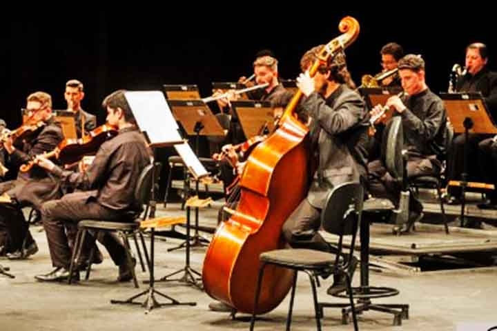 Contrabaixo: O maior e mais grave das cordas, com som encorpado e profundo. Originado na Europa no século XV, evoluiu do violone renascentista. Fornece a base harmônica e rítmica, sustentando toda a orquestra. Reprodução: Flipar