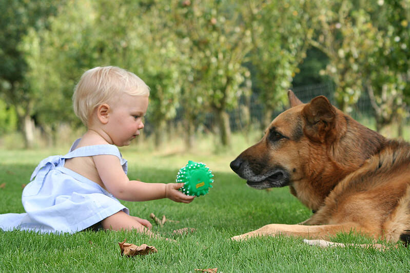 As brincadeiras entre cães e crianças ajudam na saúde psicológica e física de ambos . Foto: Sébastien GARNIER/Flickr