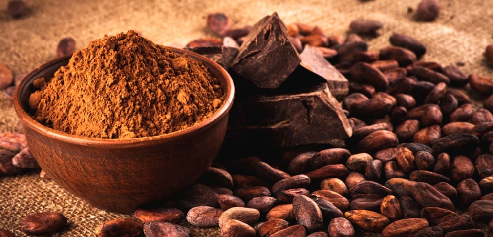 Amêndoas: Além de serem uma ótima fonte de magnésio, essencial para o relaxamento muscular, as amêndoas contêm proteínas que mantêm estáveis os níveis de açúcar no sangue durante a noite.

 Reprodução: Flipar