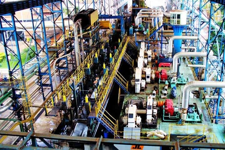 Fonte de energia, a cana é indispensável quando se fala em um desenvolvimento mais sustentável. Isso porque ela surge como uma alternativa de combustível renovável e é capaz de substituir o petróleo sem causar danos ambientais. Reprodução: Flipar