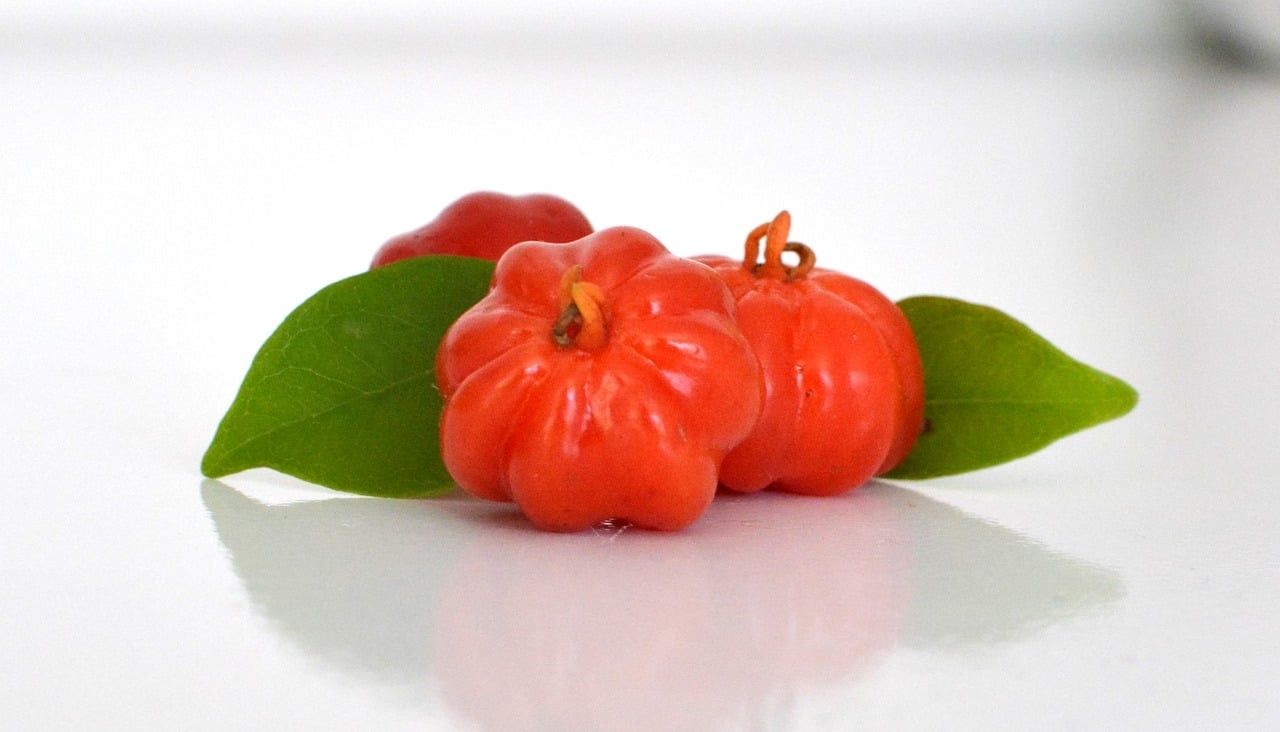 A pitanga é uma fruta que possui muitos nutrientes como vitaminas A, B e C, cálcio, fósforo e ferro, que auxiliam no combate ao envelhecimento precoce, aliviam os sintomas de artrite e previnem o desenvolvimento de doenças cardiovasculares. Reprodução: Flipar