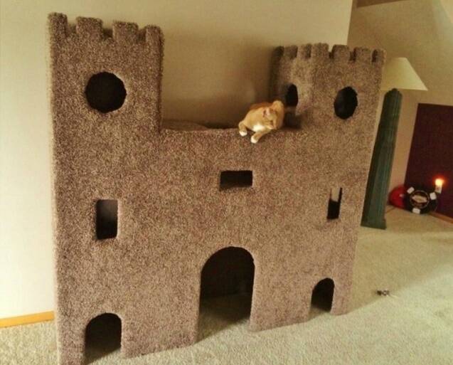 Um castelo para gatos, este pode ser feito em casa. Foto: Goods Home Design