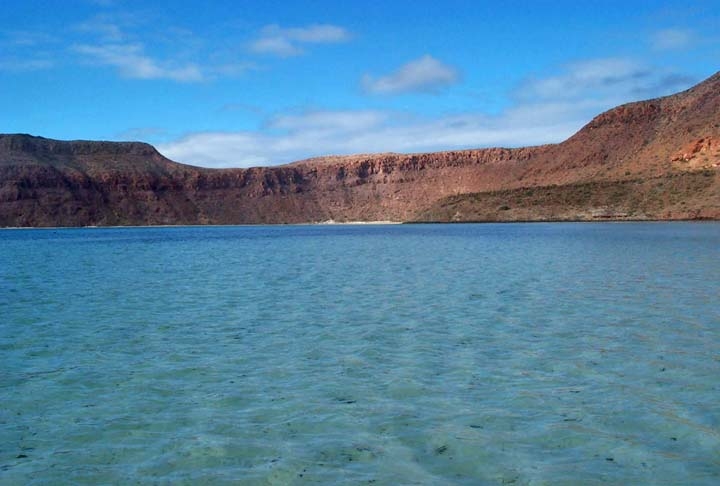 A perda de habitat é outra ameaça às vaquitas, pois o Golfo da Califórnia está se tornando mais poluído e as águas estão ficando mais rasas. Reprodução: Flipar