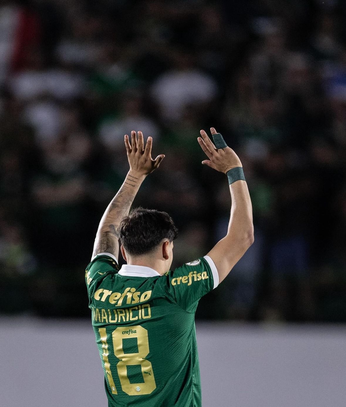 Maurício Cesar Greco/Palmeiras