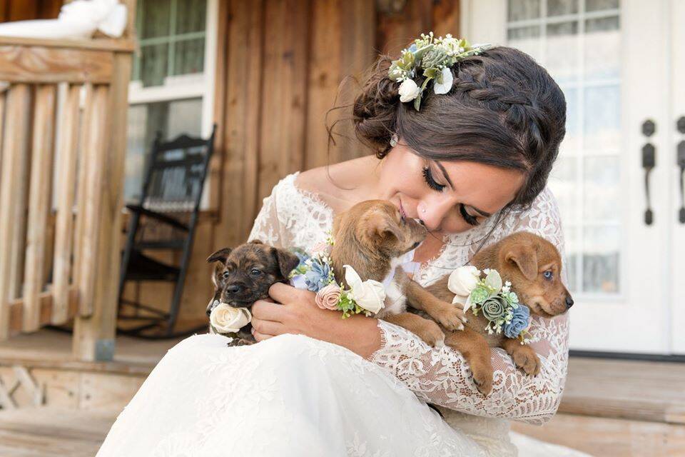 Casamento de Andee e Tina com cachorros em vez de flores. Foto: Facebook/ Cami Zi Photography