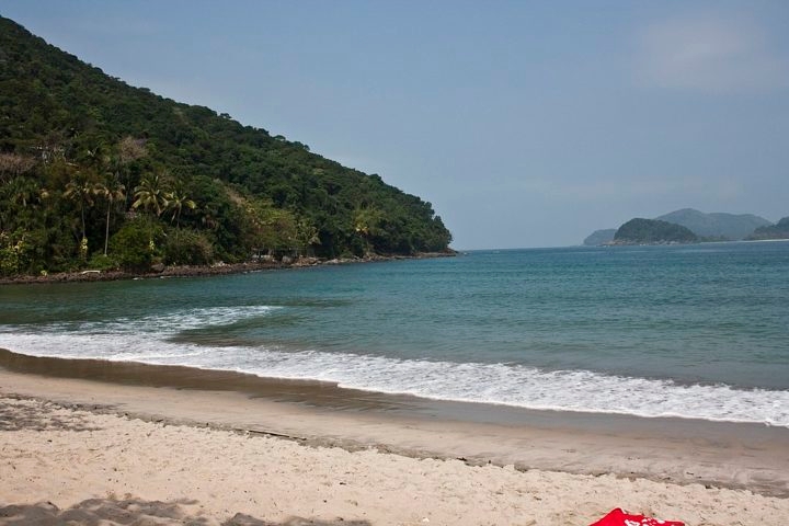 Entretanto, variações na temperatura da água e nas correntes marítimas podem ter contribuído para seu aparecimento na praia. Reprodução: Flipar