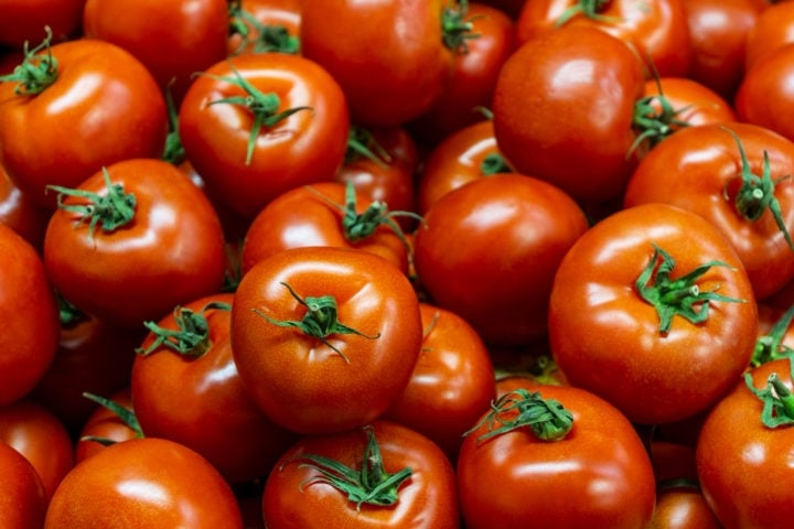 No começo do verão na Europa, algumas empresas agrícolas começam a buscar trabalhadores para o processamento de tomates, assim como outros legumes, frutas e vegetais.  Reprodução: Flipar