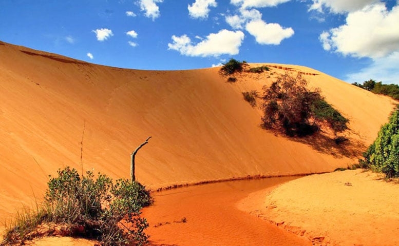 Outro grande ponto forte deste território são as dunas de areias douradas, que alcançam até 30 metros de altura. Esta beleza natural rendeu ao lugar o apelido de ‘Deserto do Jalapão’  Reprodução: Flipar