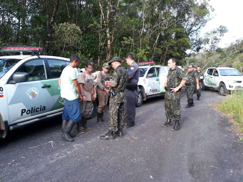 Equipes do Policiamento ambiental prende quadrilha de palmiteiros
. Foto: Divulgação/Polícia Militar Ambiental
