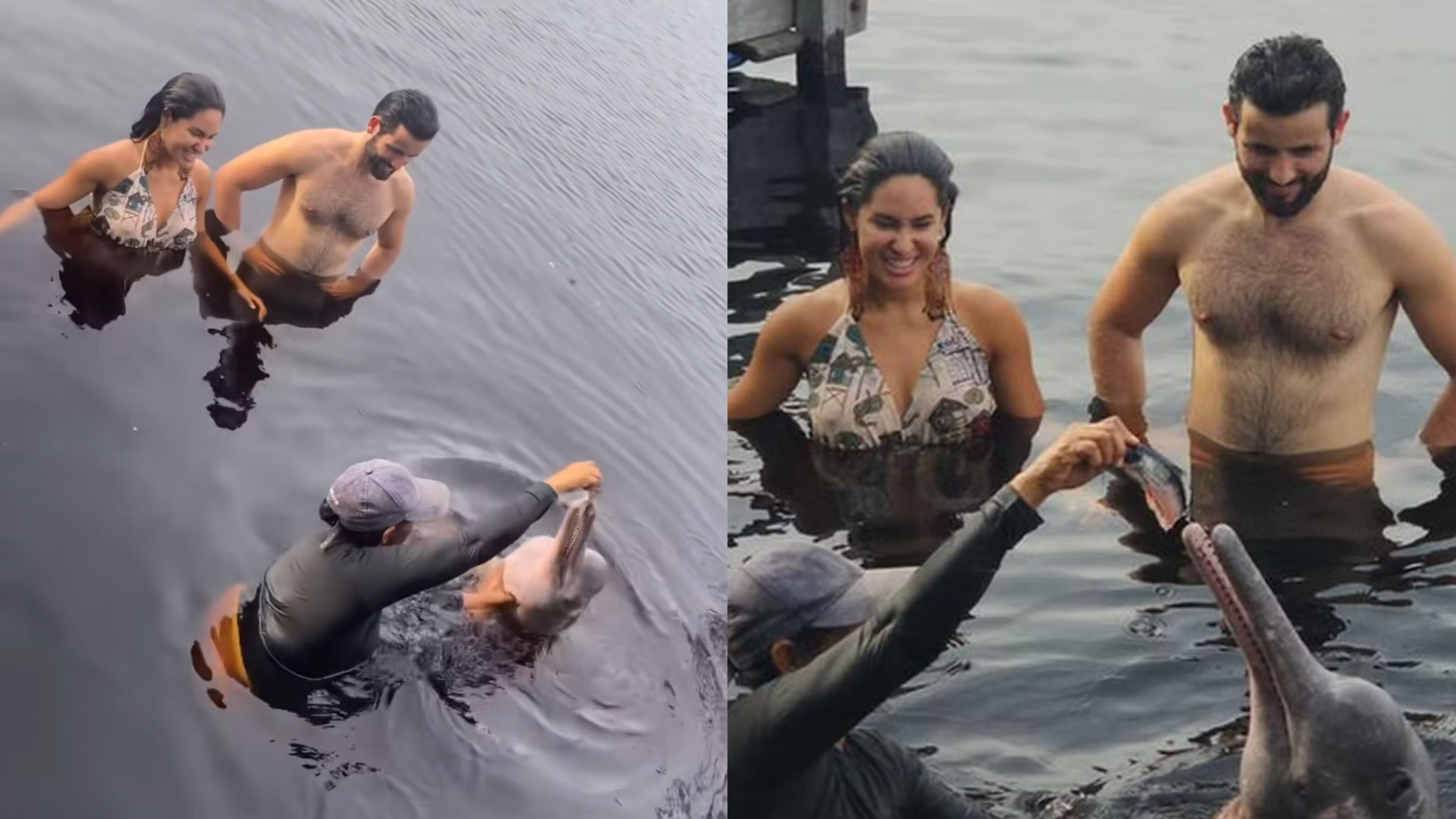 Isabelle e Matteus mergulham com botos no rio amazonas Reprodução Instagram - 6.5.2024