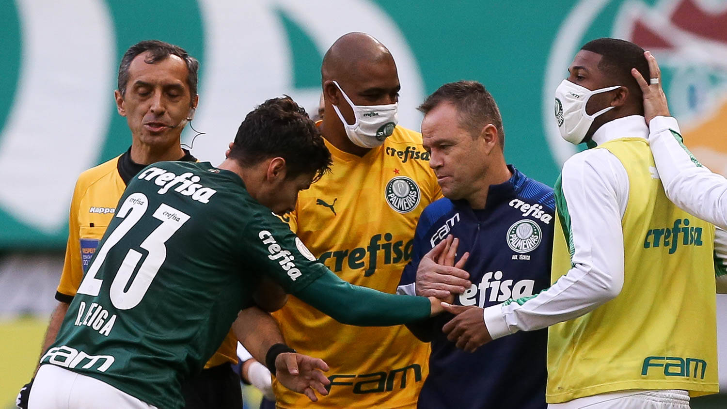 Palmeiras. Foto: Cesar Greco