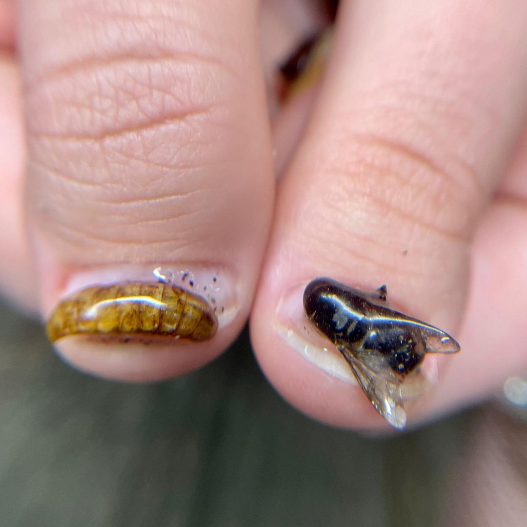 Rotten Nails: Conheça moda que imita unhas "podres" e "nojentas"	 Reprodução/Instagram/corrosion.nails