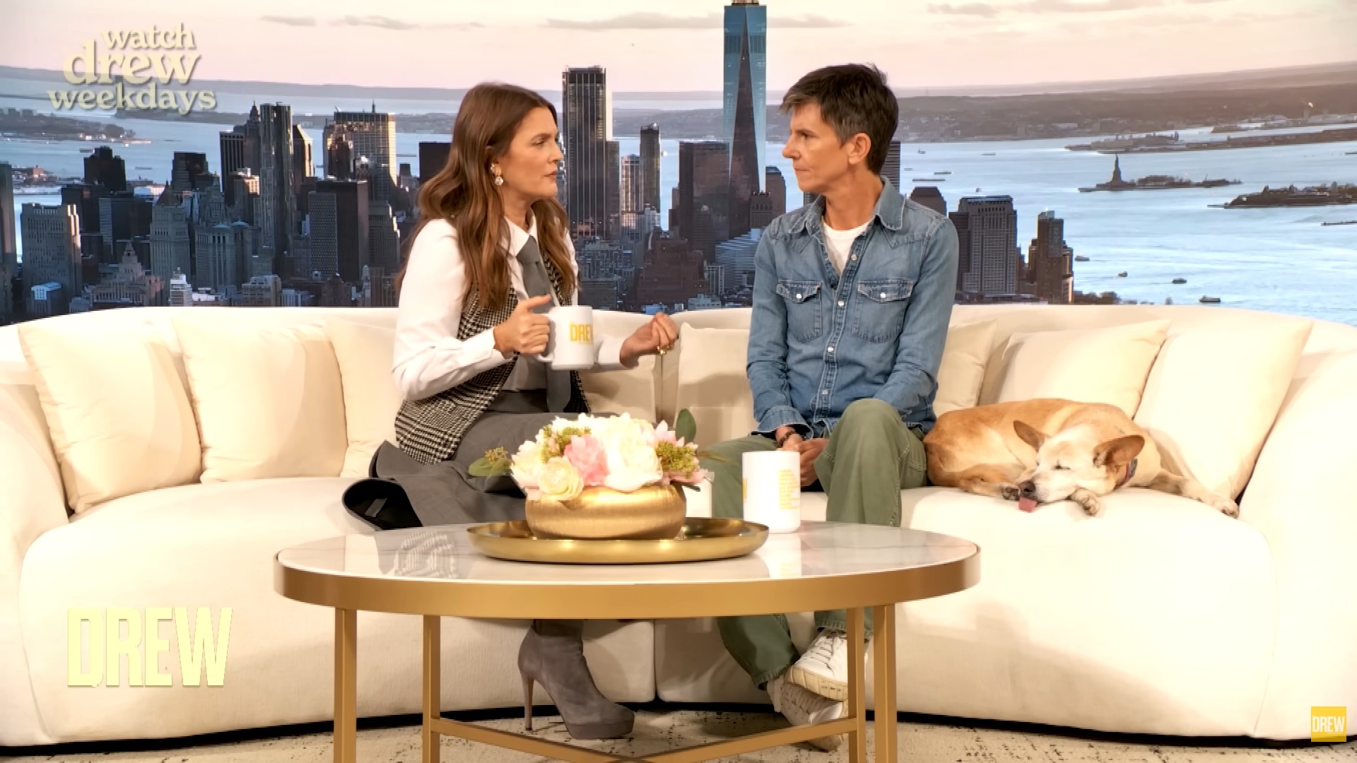 O relato foi feito o seu programa, “The Drew Barrymore Show”, enquanto conversava com a comediante Tig Notaro, diagnosticada com câncer de mama em 2016 e submetida a uma mastectomia dupla. 
 Reprodução: Flipar
