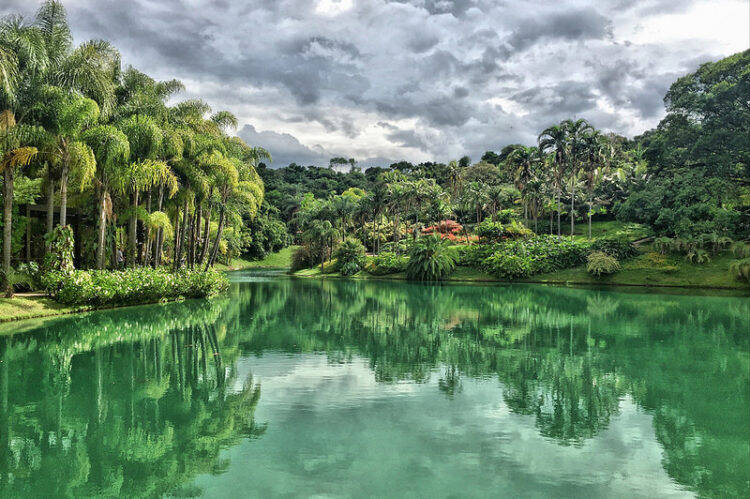 O Jardim Botânico do Inhotim possui mais de 4,3 mil espécies de plantas e árvores e está na divisa da Mata Atlântica e do Cerrado. Foto: Rota de Férias
