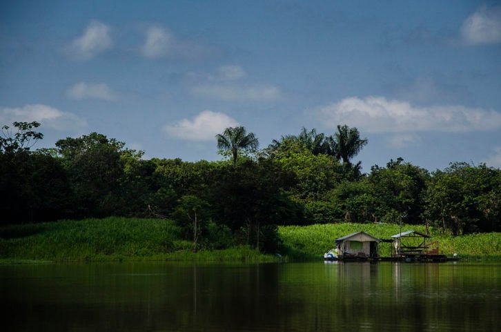Lago do Janauari (Manaus): Famoso por sua rica biodiversidade, esse lago oferece um refúgio para quem busca contato com a natureza.  Reprodução: Flipar
