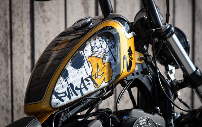 Harley-Davidson Sportster Custom. Foto: Divulgação