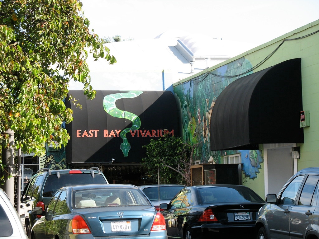 O East Bay Vivarium, fundado em Berkeley, Califórnia, é um dos estabelecimentos mais antigos dos EUA dedicados exclusivamente a répteis. Funciona como loja, centro educativo e espaço de convivência com animais exóticos. É um ponto de referência na herpetocultura Reprodução: Flipar