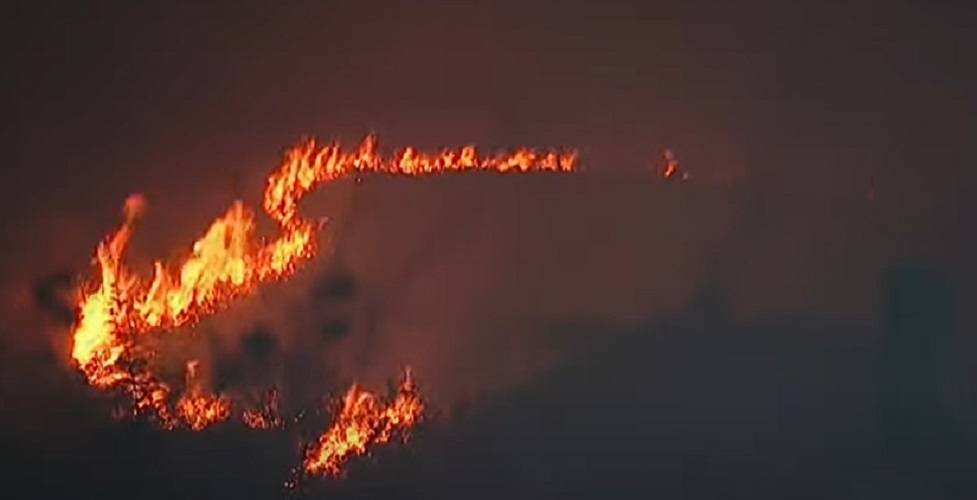 Os incêndios causados por balões podem impactar o meio ambiente. Em 2021, o índice de incêndios causados por ação humana em São Paulo - inclusive por causa de balões - chegou a espantosos 76% do total de focos registrados.  Reprodução: Flipar