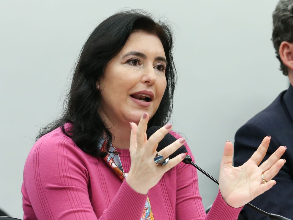 Simone Tebet, ministra do Planejamento e Orçamento, durante audiência pública sobre a reforma tributária. Foto: Lula Marques/ Agência Brasil - 04/04/2023