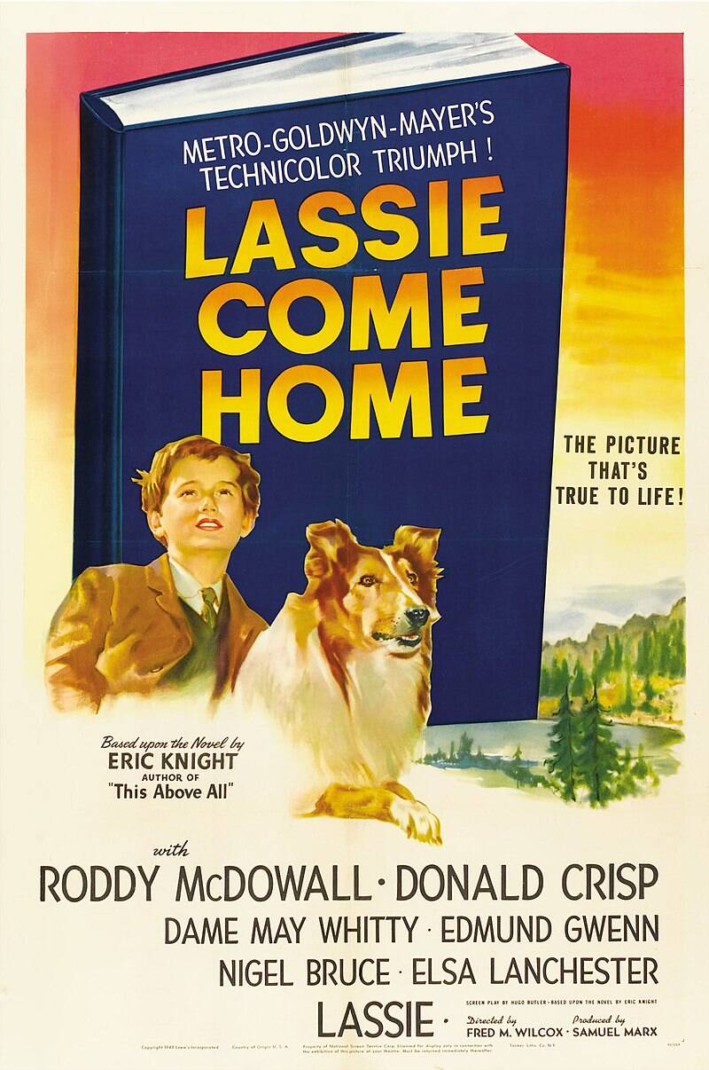 Lassie ComeHome, filme baseado no livro de mesmo nome. Foto: Copyright 1943 Loew's Incorporated