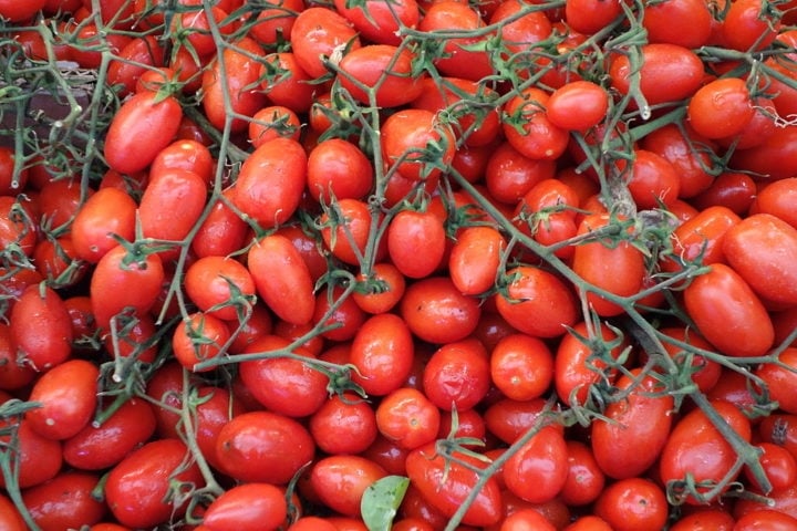 Pomodoro Datterino: Também conhecido como tomate cereja italiano, é caracterizado por seu formato pequeno oval, sabor doce e pele fina. Sua doçura natural o torna versátil, podendo ser utilizado em diversos pratos, desde saladas até conservas. Reprodução: Flipar