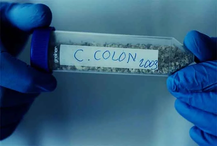 Eles divulgaram o resultado no documentário Columbus DNA: His True Origin (O DNA de Colombo: Sua verdadeira origem), exibido na emissora nacional espanhola RTVE.  Reprodução: Flipar