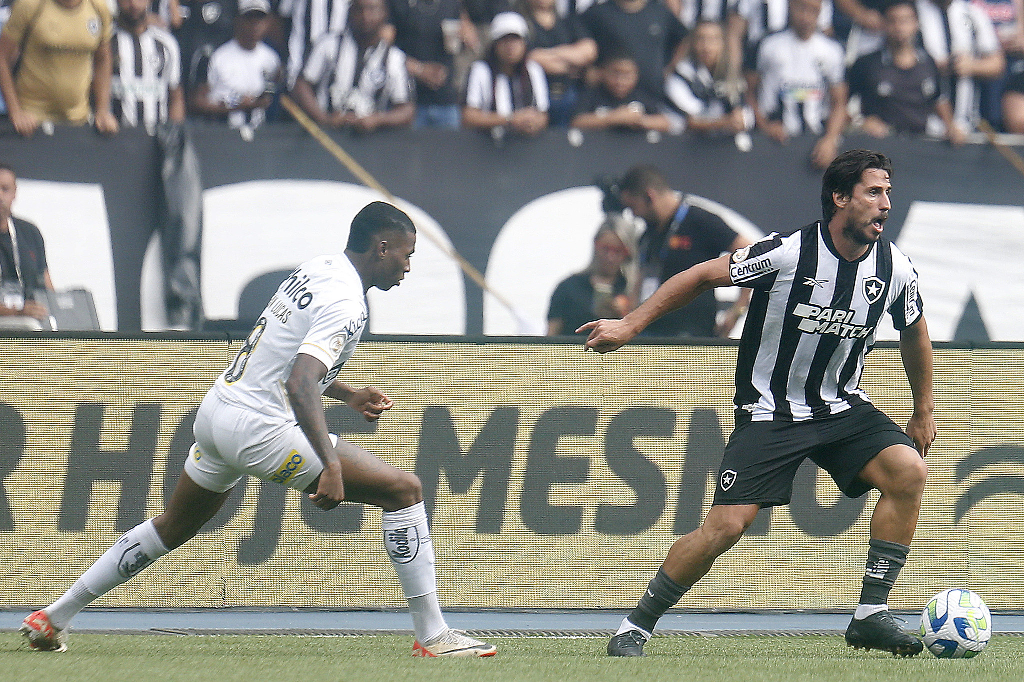 Botafogo cede empate nos acréscimos para o Santos e tropeça em casa -  Placar - O futebol sem barreiras para você