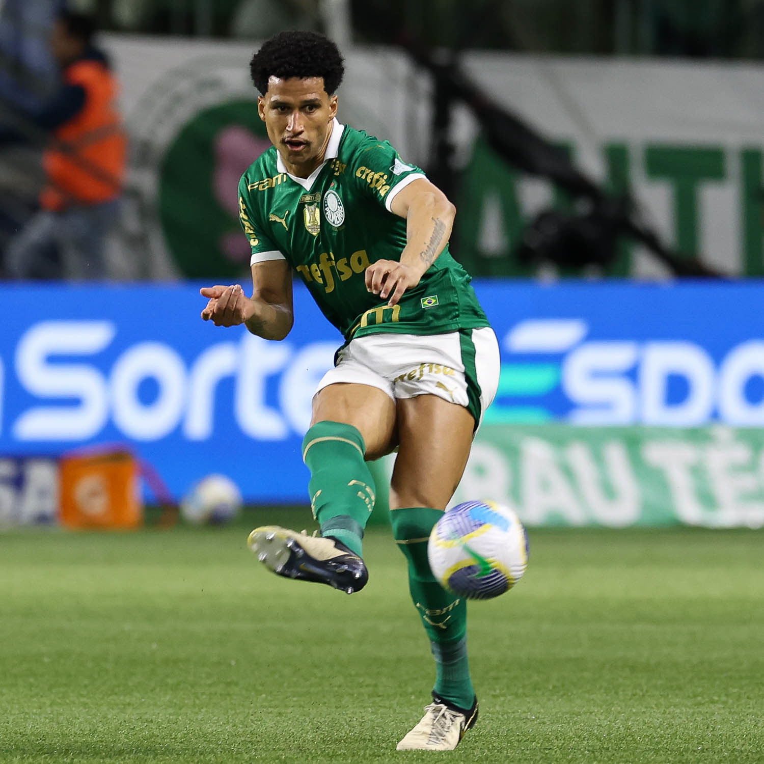 (Foto: Cesar Greco/Palmeiras) Palmeiras x Grêmio (Foto: Cesar Greco/Palmeiras)