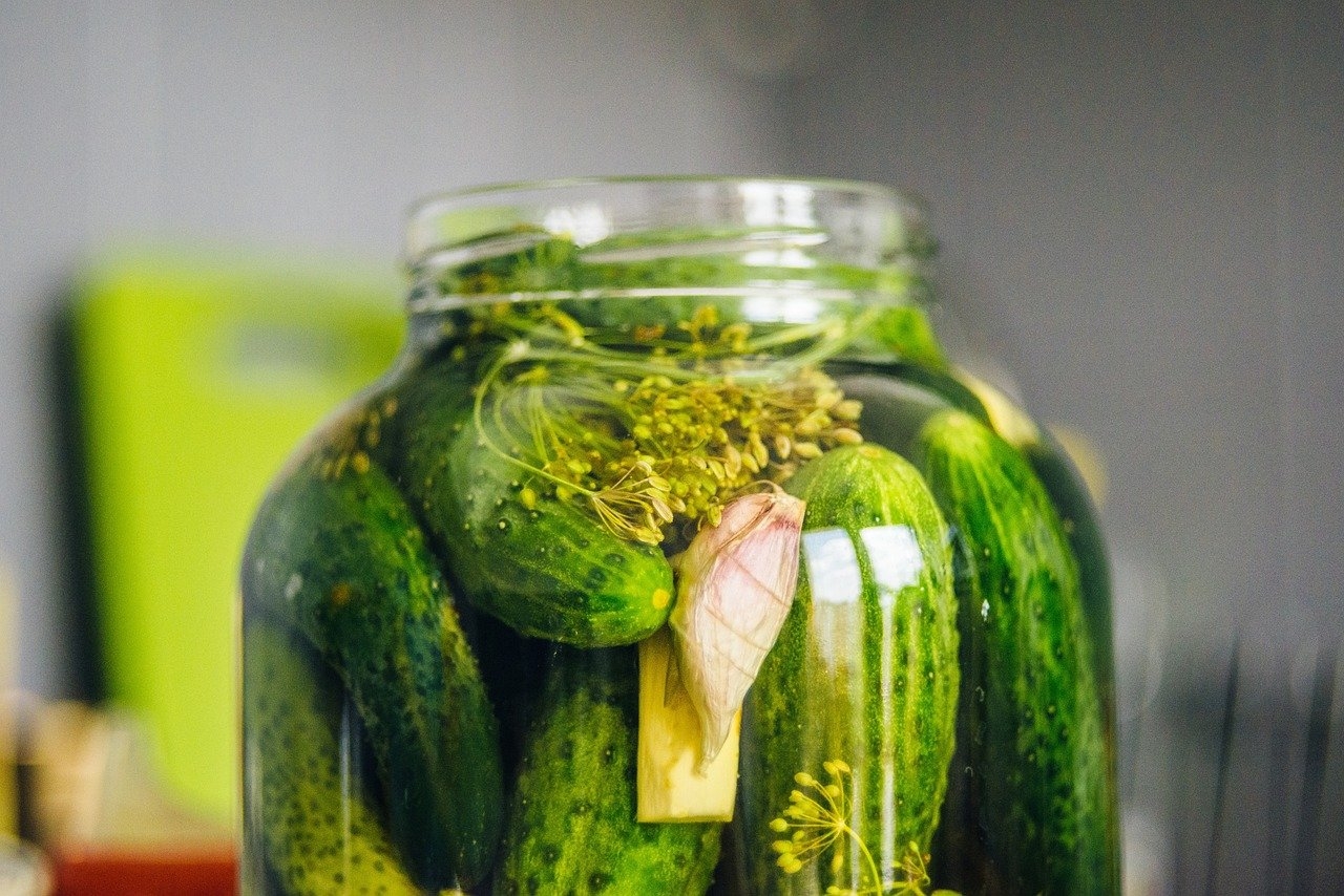O pepino em conserva, ou picles, é uma maneira popular de preservar o vegetal. Ao ser imerso em vinagre, sal e temperos, o fruto adquire um sabor ácido e crocante, tornando-se um excelente acompanhamento para sanduíches, saladas e petiscos. Reprodução: Flipar