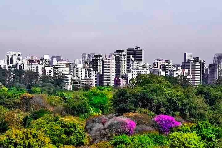 Além do contato com a natureza, o bairro se destaca por ser bem localizado, ter boa infraestrutura, segurança e acesso fácil a centros comerciais e culturais.  Reprodução: Flipar