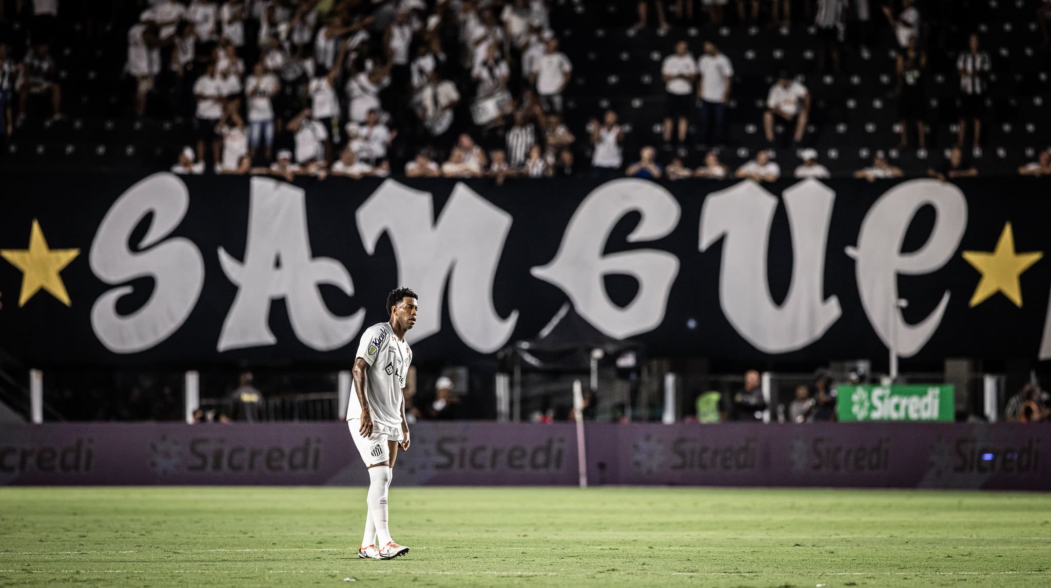 Gil. Foto: Raul Baretta/ Santos FC