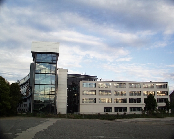 A descoberta foi feita por pesquisadores do Instituto Max Planck de Antropologia Evolucionista, na Alemanha, e publicada recentemente na revista científica PNAS. 
 Reprodução: Flipar