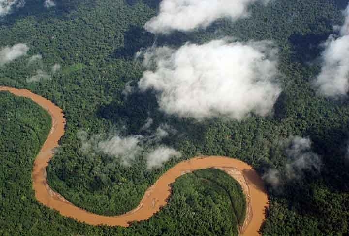 A Amazônia Boliviana é a parte do território localizada na Amazônia, sendo uma das grandes regiões ecológicas do país. Está localizada no grande grupo de planícies que inclui o Chaco boliviano. Ela é um contraste com os altos relevos do Altiplano dentro da cordilheira dos Andes que ocupam o oeste do país.  Reprodução: Flipar