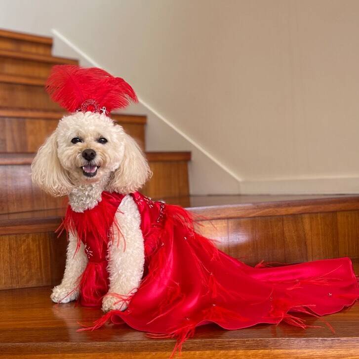 Coco em um luxuoso vestido vermelho. Foto: Reprodução/Instagram