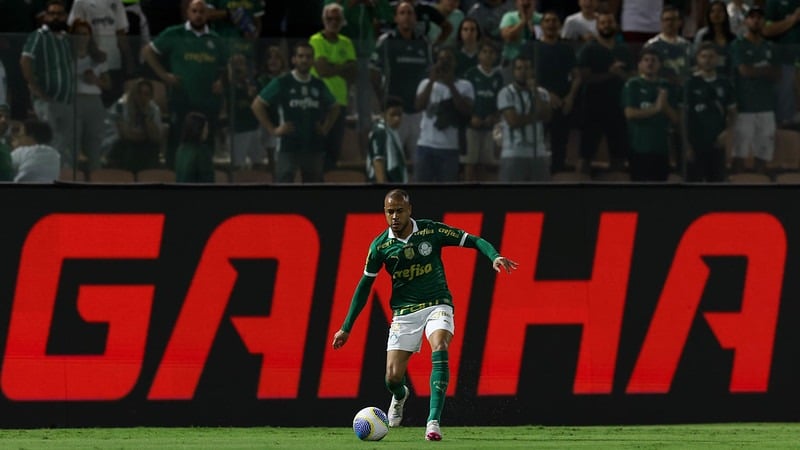 Palmeiras x Internacional - Brasileirão 2024 Cesar Greco/Palmeiras