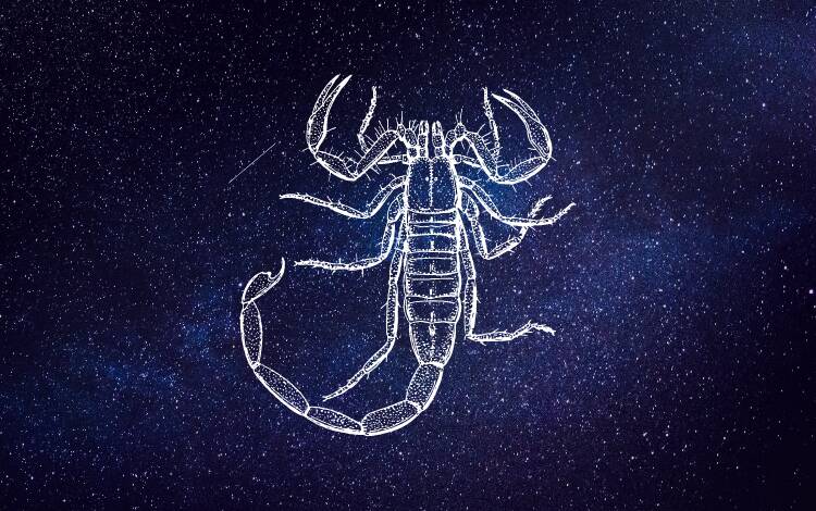 5 signos que combinam com Escorpião no amor  Canva