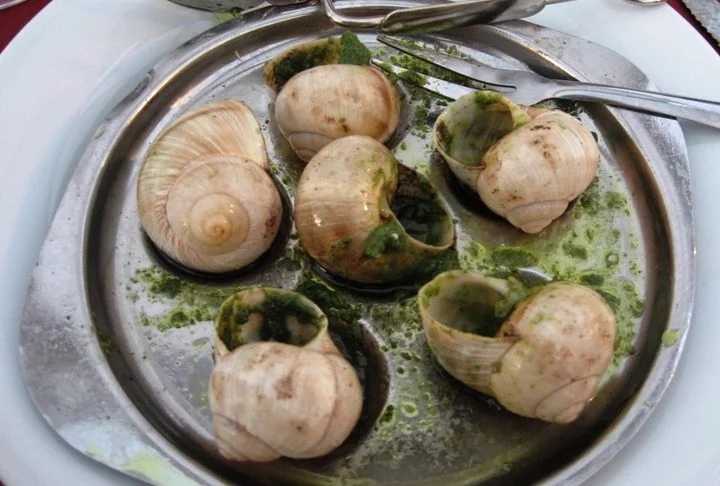 Escargot - Caracóis preparados com manteiga de alho, ervas e vinho branco, uma iguaria francesa apreciada por muitos Reprodução: Flipar