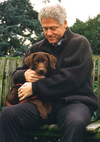Bill Clinton - Político, ex-presidente dos Estados Unidos, passou a abrir mão de carnes, ovos e laticínios por causa de problemas cardíacos. Ele chegou a fazer cirurgias e disse que sentiu-se melhor como vegano e, assim, espera viver mais tempo.  Reprodução: Flipar