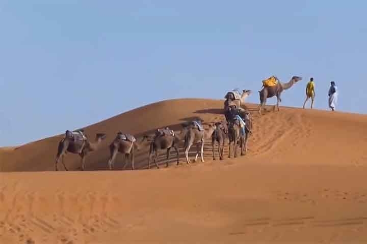 Uma dupla de pesquisadores conseguiu calcular pela primeira vez a idade de umas das mais altas dunas de areia do planeta Terra. 
 Reprodução: Flipar