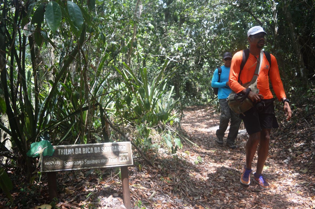 Reserva de Sarapiranga - Mata de São João - BA. Foto: Divulgação - Mtur