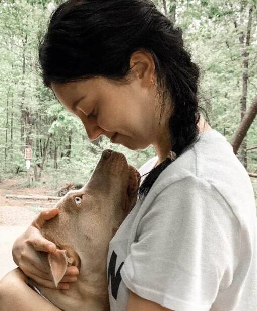 Fotos apaixonantes de pets admirando seus donos com olhares de derreter corações. Foto: REPRODUÇÃO/ IMGUR