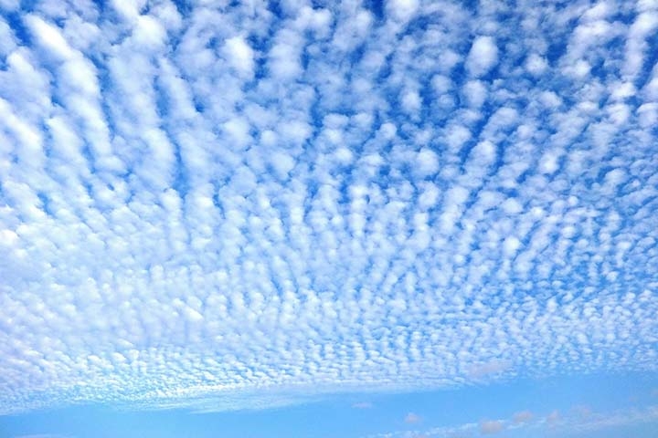 Cirros - São nuvens altas, geralmente acima de 6.000 metros, formadas por cristais de gelo. Aparecem como filamentos finos, delicados e esbranquiçados, frequentemente em formas que lembram fios de cabelo. Indicam mudanças climáticas quando se acumulam.
 Reprodução: Flipar